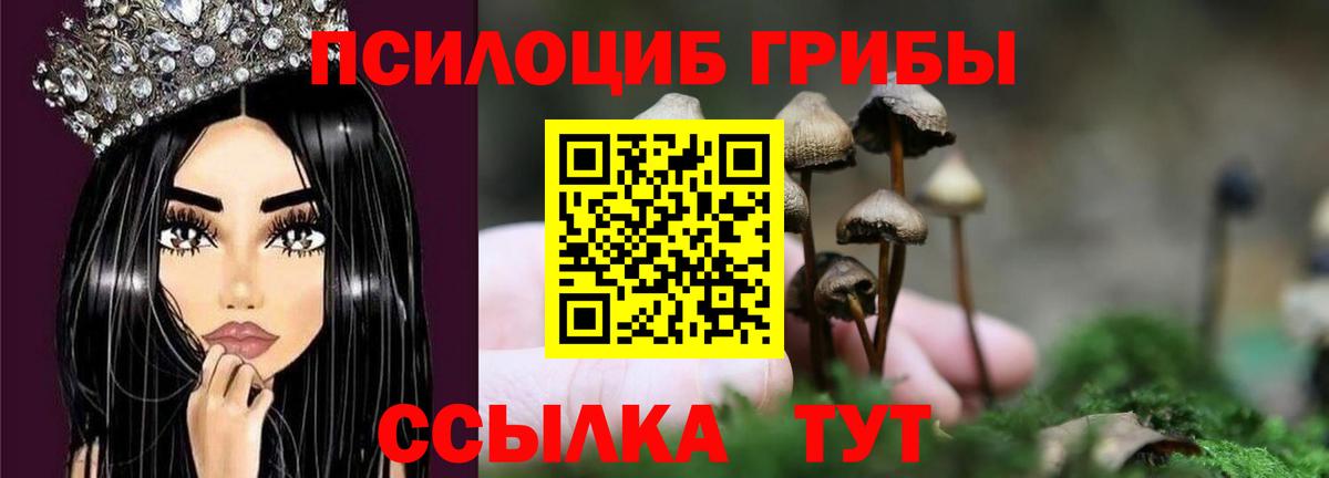 Чистополь  Псилоцибиновые грибы Cubensis  Вход с VPN 
