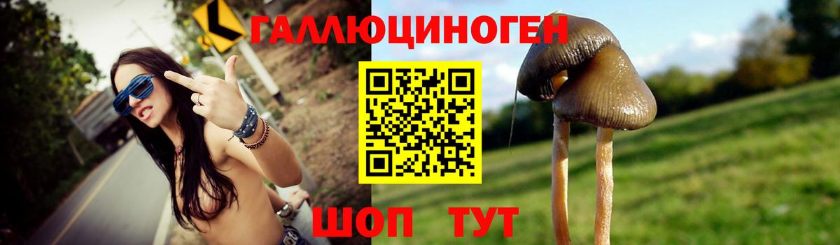 Галлюциногенные грибы мицелий Чистополь