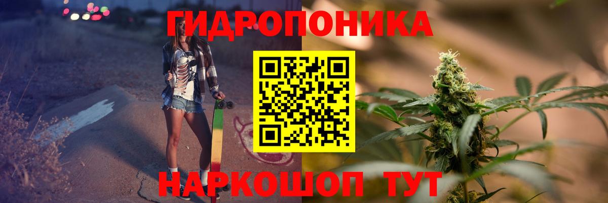 Конопля конопля  Шишки марихуана конопля  Чистополь  Вход с VPN  МАРИХУАНА семена 